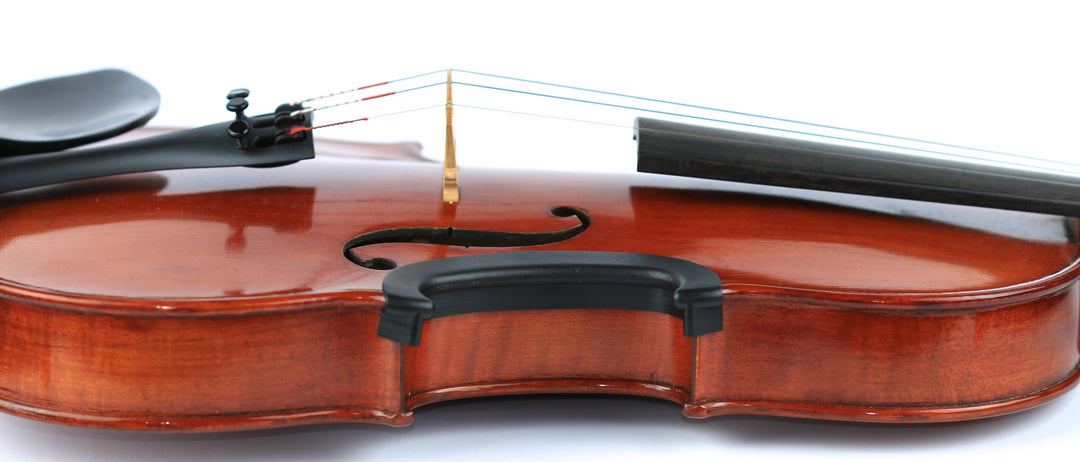 C Clip violin C bout ribs protector fits 4/4 Violin &amp; 14” viola Made in USA