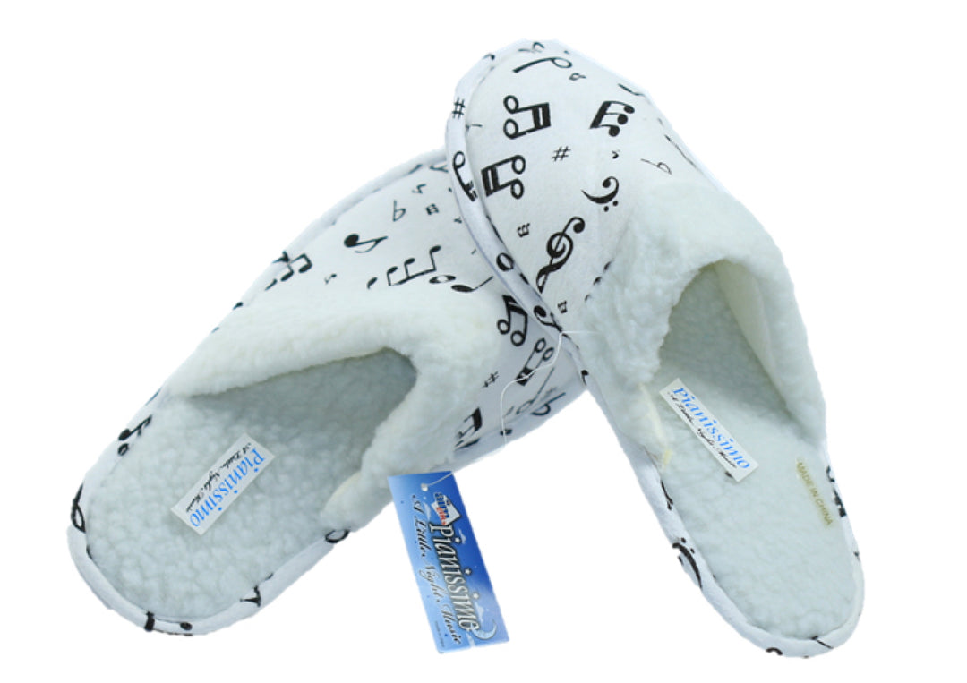 AIM Gifts brand Slippers Music Theme